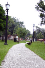 Enlarge photo 149
