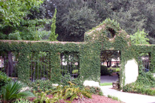 Enlarge photo 153