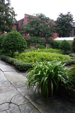 Enlarge photo 156