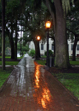 Enlarge photo 157