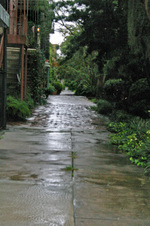 Enlarge photo 158