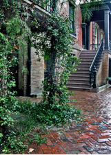 Enlarge photo 160
