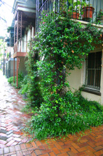 Enlarge photo 164