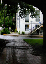 Enlarge photo 168