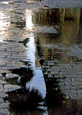 Enlarge photo 169