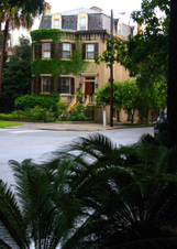 Enlarge photo 171