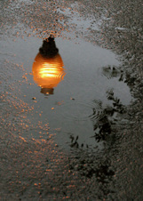 Enlarge photo 173