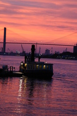 Enlarge photo 429
