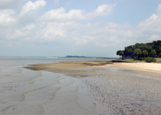 Enlarge photo 311