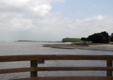 Enlarge photo 314