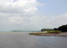 Enlarge photo 315