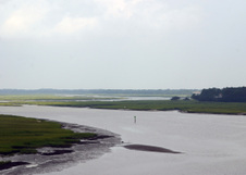 Enlarge photo 317