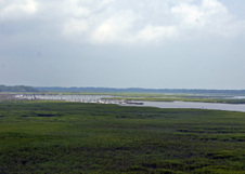 Enlarge photo 318