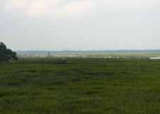 Enlarge photo 319