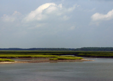 Enlarge photo 320