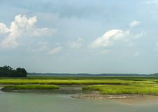 Enlarge photo 321