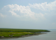 Enlarge photo 322