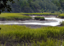 Enlarge photo 323