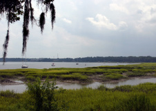 Enlarge photo 324