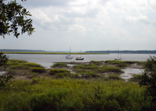 Enlarge photo 326