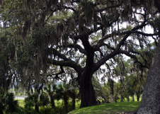 Enlarge photo 329