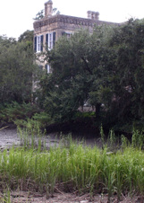 Enlarge photo 336