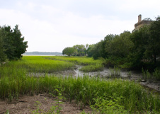 Enlarge photo 337