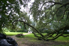 Enlarge photo 338