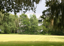 Enlarge photo 339