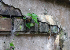 Enlarge photo 341