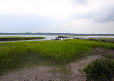 Enlarge photo 343