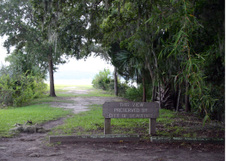 Enlarge photo 345