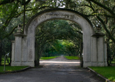 Enlarge photo 194