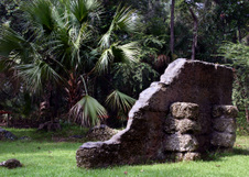 Enlarge photo 198