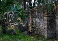 Enlarge photo 199