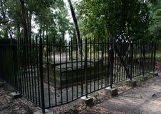 Enlarge photo 203