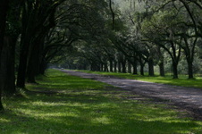 Enlarge photo 208
