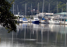 Enlarge photo 210