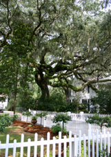 Enlarge photo 213