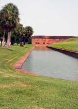 Enlarge photo 347