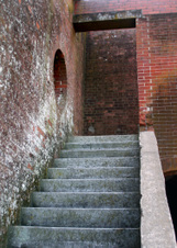 Enlarge photo 355
