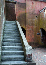 Enlarge photo 359