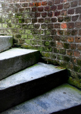 Enlarge photo 374