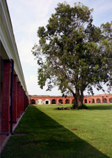 Enlarge photo 378