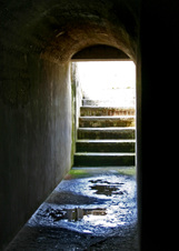 Enlarge photo 382