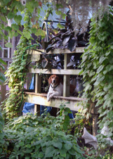 Enlarge photo 410