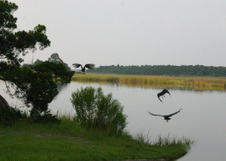 Enlarge photo 411
