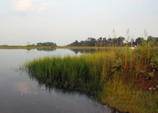 Enlarge photo 412