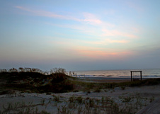Enlarge photo 295