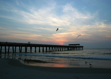 Enlarge photo 297